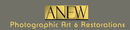 ANEWlogo